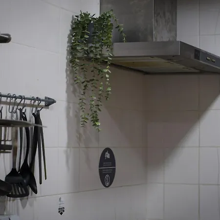 Hi Arrifana Destination