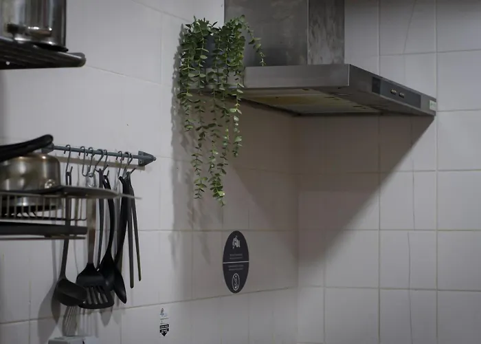 Hi Arrifana Destination